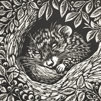 Image 2 of Hedgerow and Hideyholes: The Dormouse