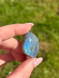 Image 4 of Labradorite Cabochons