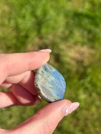 Image 5 of Labradorite Cabochons
