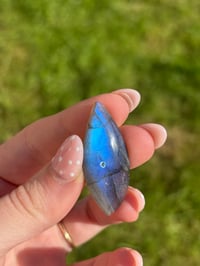 Image 8 of Labradorite Cabochons