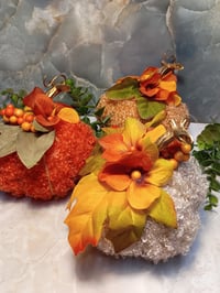 Image 1 of Harvest pumpkins