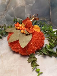 Image 2 of Harvest pumpkins