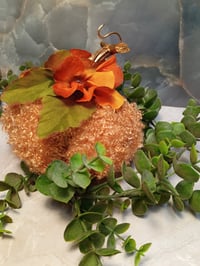 Image 3 of Harvest pumpkins
