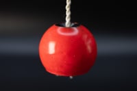 Image 3 of GumBall OG