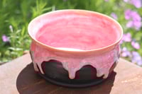 Image 1 of Pink and Black Planter