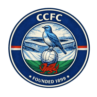 Image 1 of Cardiff City Print.