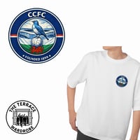 Image 2 of Cardiff City Print.