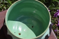 Image 2 of Green and Black Planter