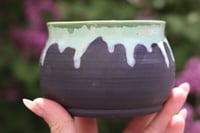 Image 3 of Green and Black Planter