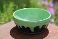 Image 1 of Small Green and Black Planter