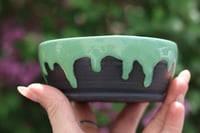 Image 3 of Small Green and Black Planter