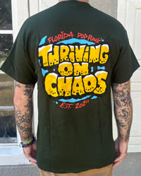 Image 2 of Thriving in Chaos
