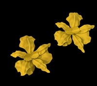 Image 1 of S.G.E EARRINGS