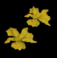 Image 2 of S.G.E EARRINGS