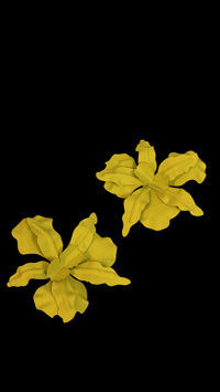 Image 4 of S.G.E EARRINGS