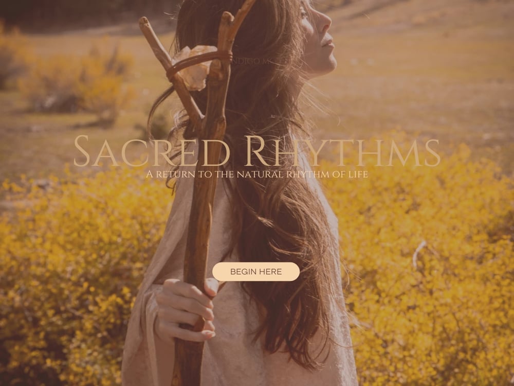 Image of The Foundation Portal