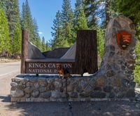 Image 4 of Kings Canyon sticker