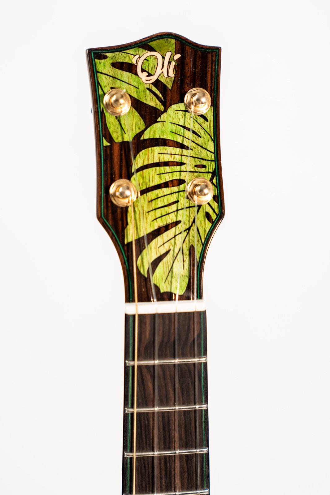 OLI L2-TCA Monstera Cedar Acacia Tenor | Ukulele Lab