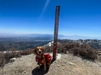 Image 4 of Mt Baldy Sticker