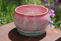 Image 2 of Pink and Blue Berry Bowl