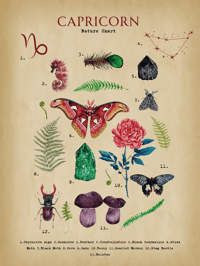 Image 2 of Capricorn Digital Art