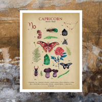 Image 1 of Capricorn Digital Art