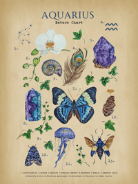 Image 2 of Aquarius Digital Art