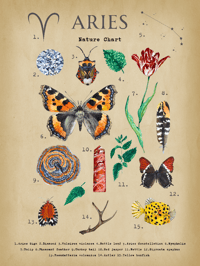 Image 2 of Aries Digital Art