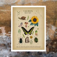 Image 1 of Taurus Digital Art