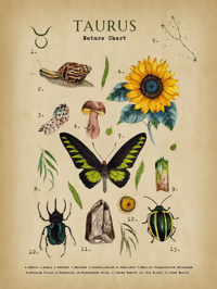 Image 2 of Taurus Digital Art