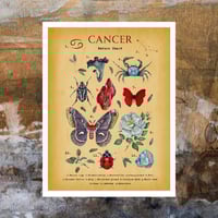 Image 1 of Cancer Digital Art 