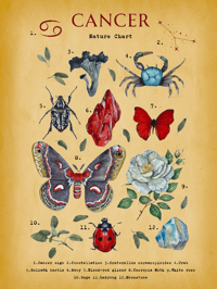 Image 2 of Cancer Digital Art 