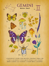 Image 2 of Gemini Digital Art 