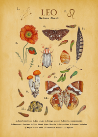 Image 2 of Leo Digital Art 