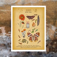 Image 1 of Leo Digital Art 