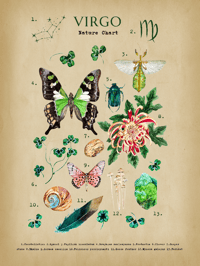 Image 2 of Virgo Digital Art 