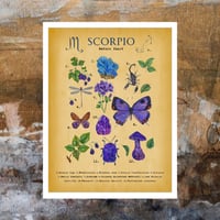 Image 1 of Scorpio Digital Art 