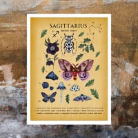 Image 1 of Sagittarius Digital Art 