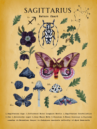 Image 2 of Sagittarius Digital Art 