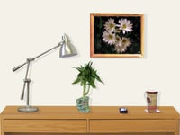 Image 4 of RnJ_Daisies UnFramed Print
