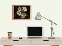 Image 2 of RnJ_Daisies UnFramed Print