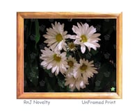 Image 1 of RnJ_Daisies UnFramed Print