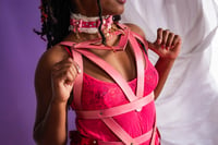 Image 4 of Sweetheart harness
