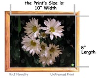 Image 3 of RnJ_Daisies UnFramed Print