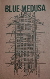 Image 2 of HOBO NICKELS n 8: Blue Medusa