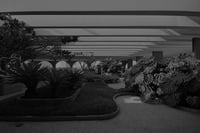 MONOGURUI digi-op: (the invisibles)(ii)