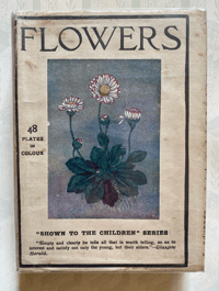Image 1 of Flowers Shown to the Children