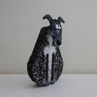 Image 3 of Lurcher Reserved For Hannah