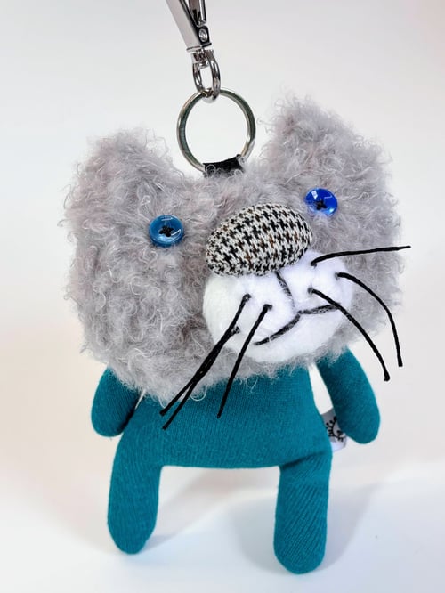 Image of Luna the dreamy cat