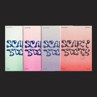 Issues 1-4 Zine Bundle